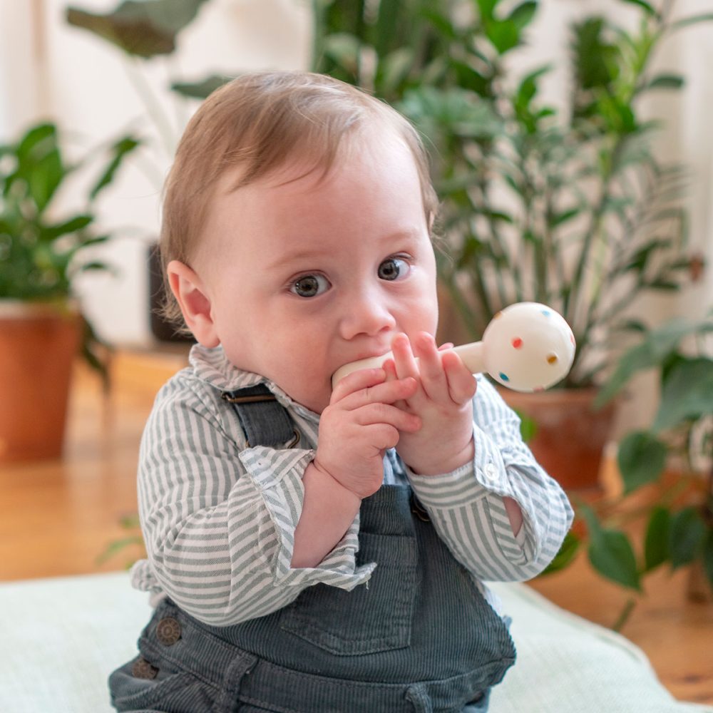 Baby gym